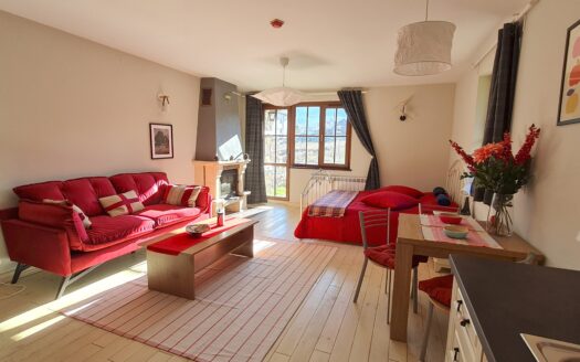Unique property! South-facing, spacious and beautifully furnished studio, with log fireplace in a building close to the City Park in Bansko