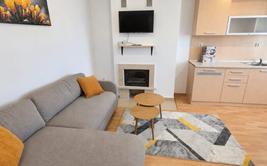 Newly Furnished and Fully Renovated 1-Bedroom Apartment with Log Fireplace, Close to the Gondola Ski Lift in Bansko