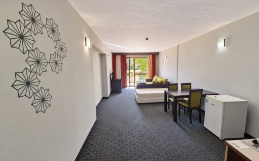 Spacious South-Facing 1-Bedroom Apartment with Terrace near the Gondola in Guinness Complex, Bansko