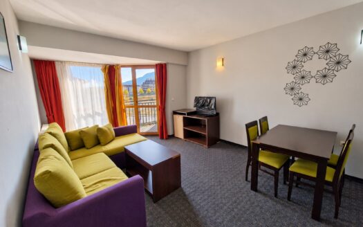 Bright One-Bedroom Apartment with Mountain Views in Guinness, Bansko